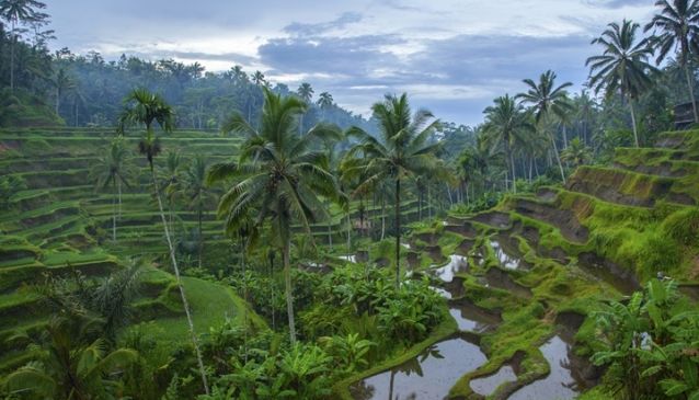 7 Choices of Full Day Bali Tours 