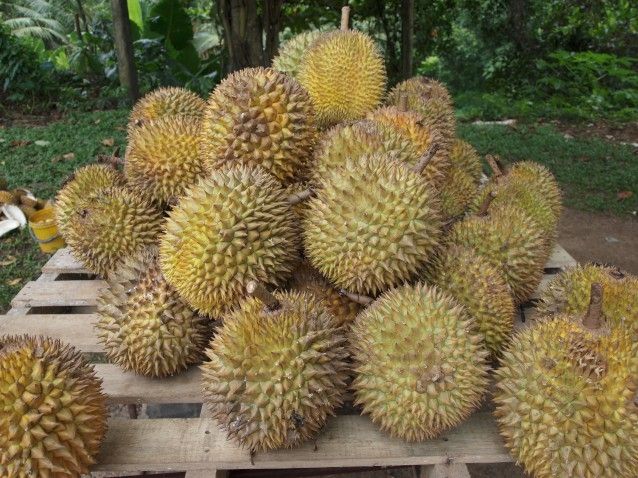 Bali's Paradise Fruits