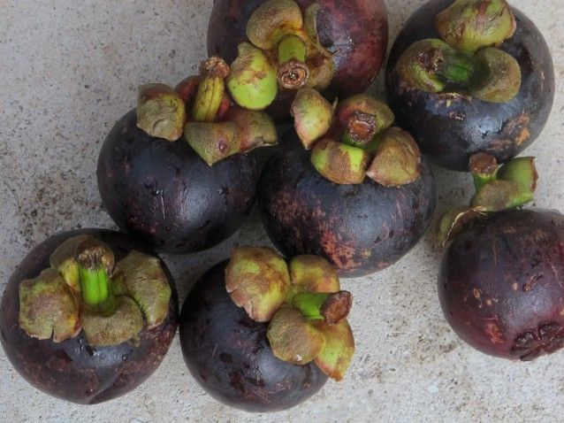 Mangosteens, not related to mangoe