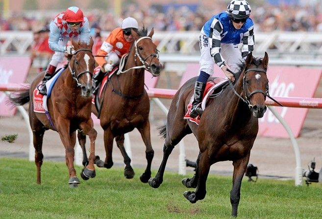 Melbourne Cup 2014 winner Protectionist followed by Red Cadeaux with Who Shot Thebarman in third (AAP Image/Tracey Nearmy) 