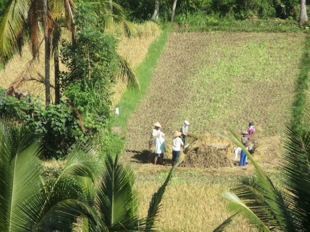 Calling Rain on Bali