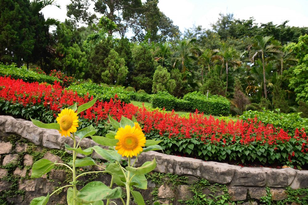 An Afternoon at Saigon Zoo and Botanical Gardens