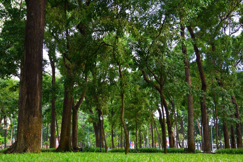 Saigon's Best Parks