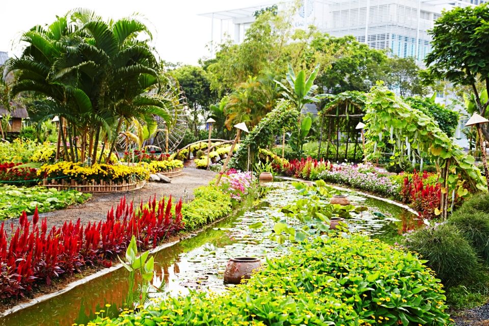 Tet Flowers Garden