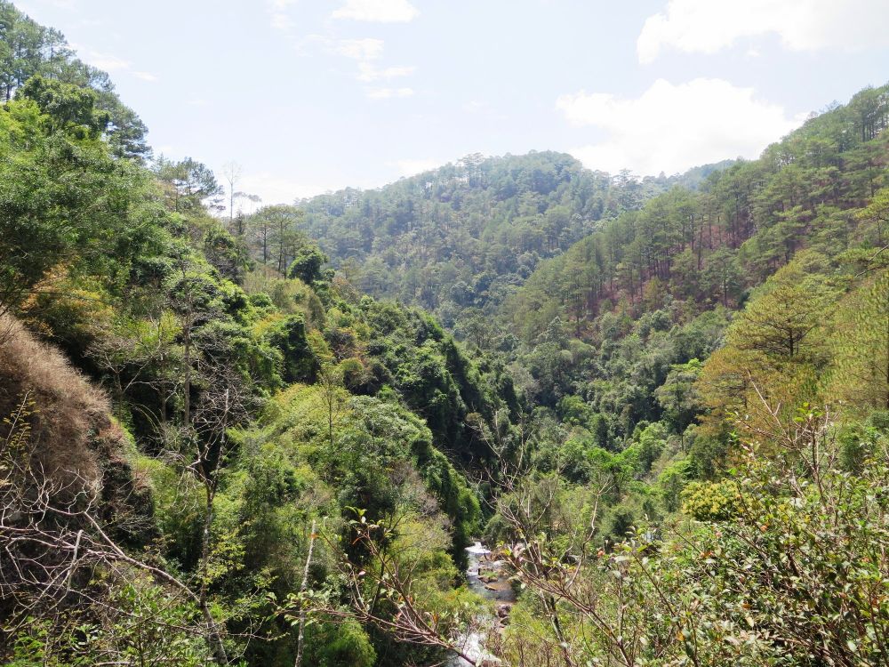 Canyoning in Da Lat