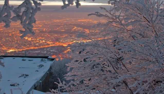 Under the Mistletoe in Bulgaria