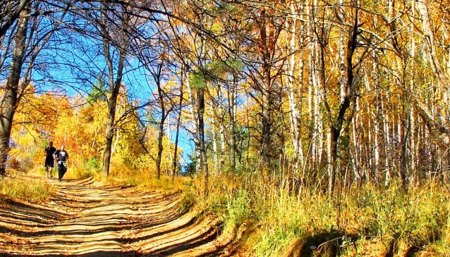  Vitosha Mountain in the autumn