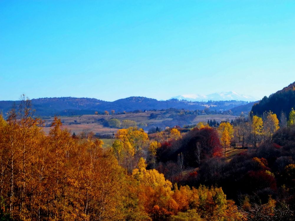  Vitosha Mountain in the autumn