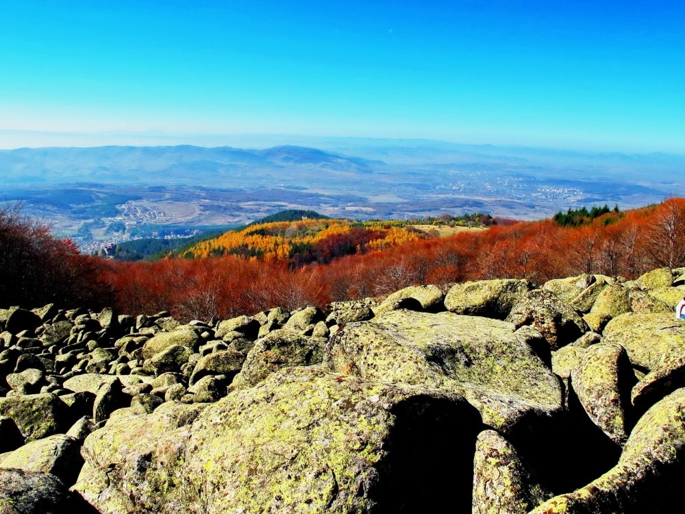  Vitosha Mountain in the autumn