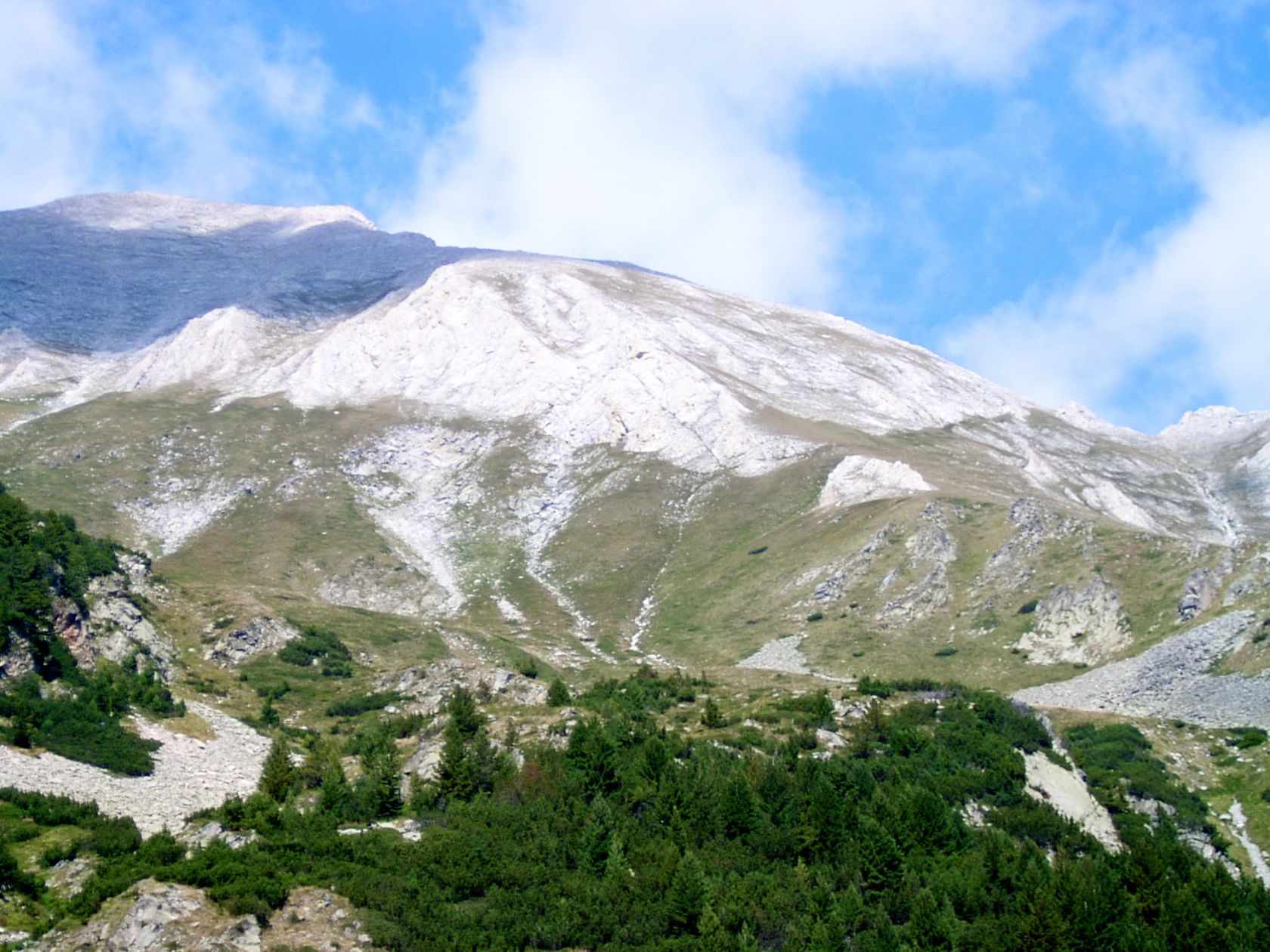 A Ski Resort During the Summer 