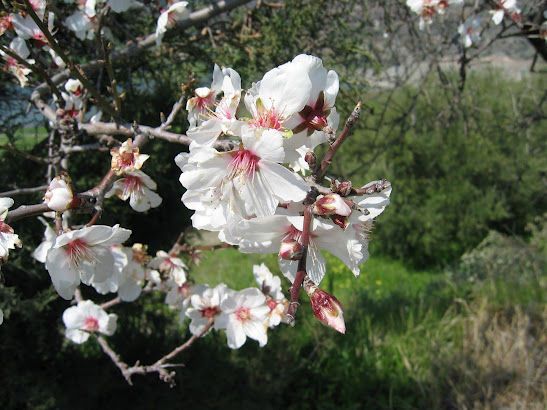 The Colorful Canvas of Yermasoyia