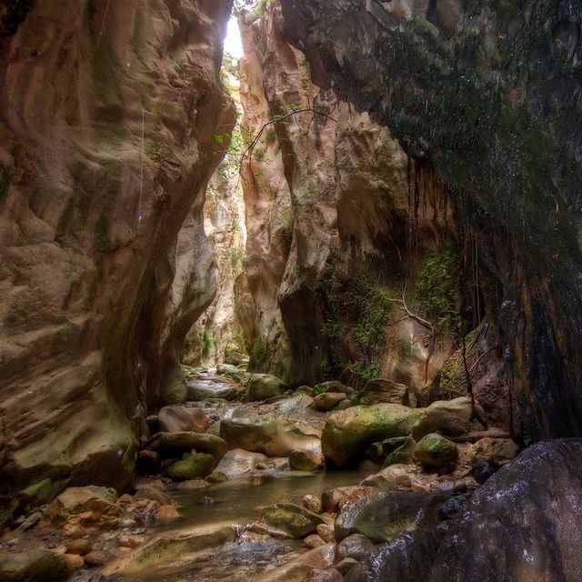Akamas Gorge