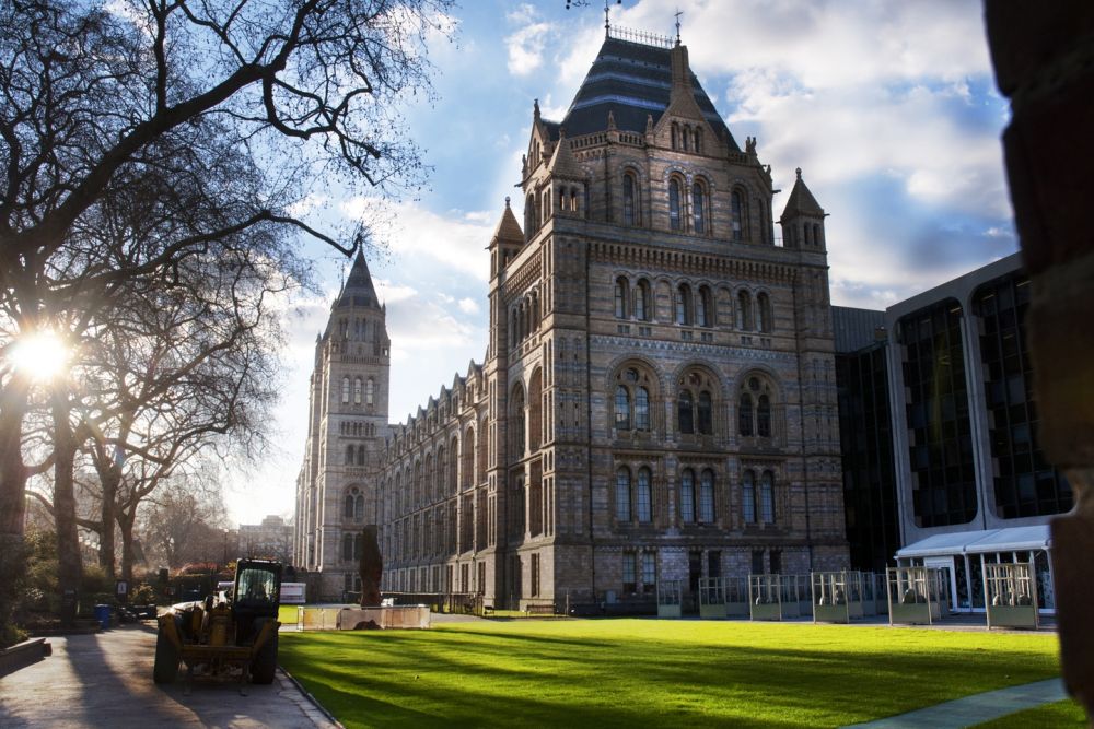 The Natural History Museum (Jamie Koster)