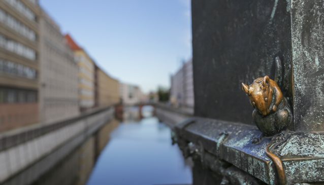 Berlin's Hidden Pockets