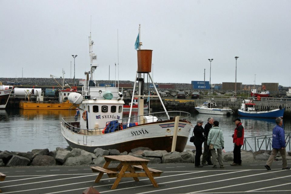 24 Hours in the North of Iceland