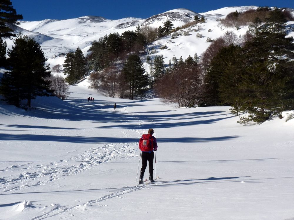 Winterly Sicily