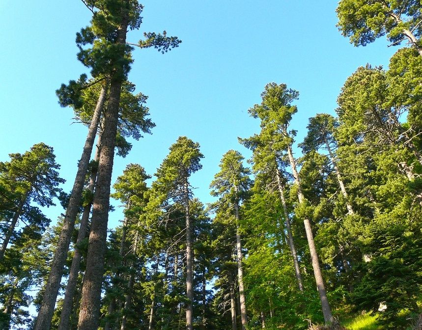 Five Masterpieces of Nature in Macedonia