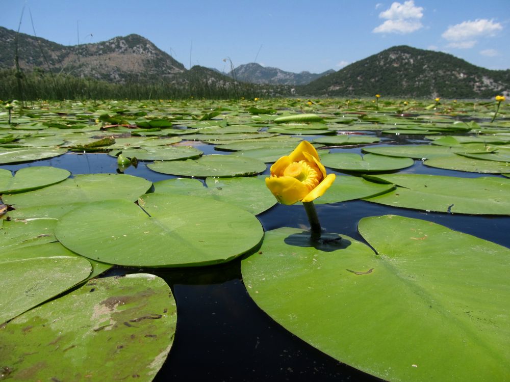 Skadaar Lake undiscovered. Courtesy of www.undiscoveredmontenegro.com