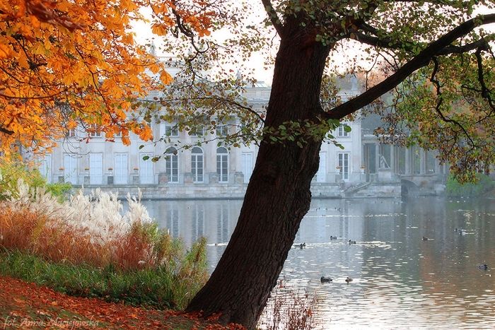 Greenery In The Capital