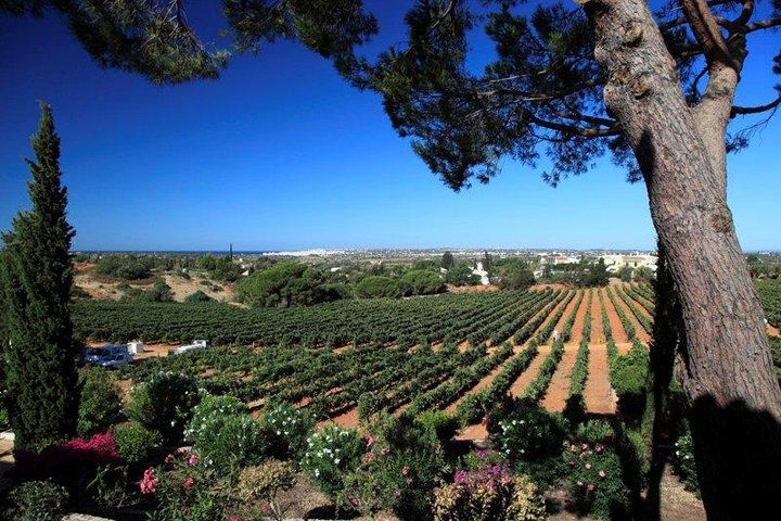 Sir Cliff Richard and Algarve wines
