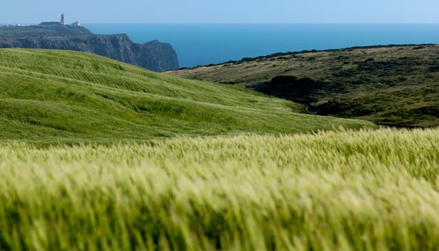 Walking in Algarve