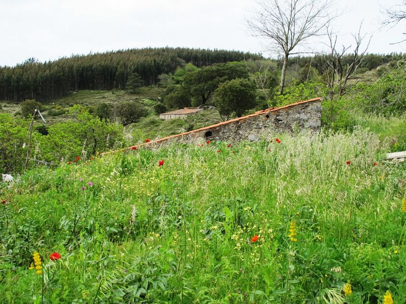 Country Hideaway in Mochique, Algarve