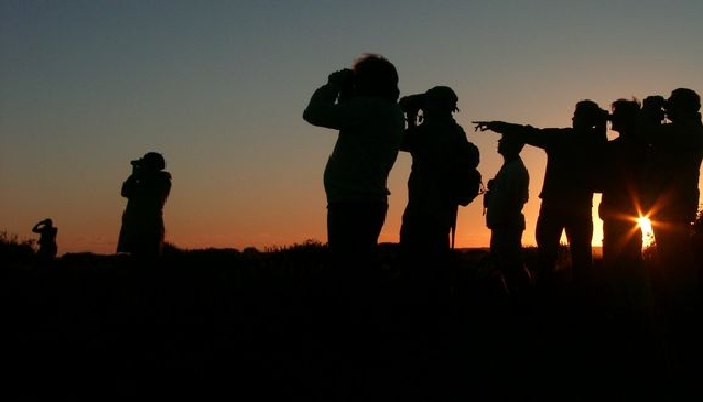 Birdwatching in the Algarve