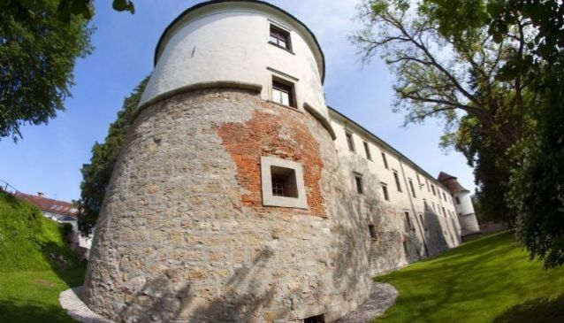 History and Culture at Brezice Castle