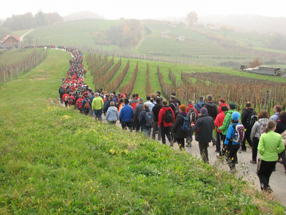 Local insights - Drašici Community Wine Cellar