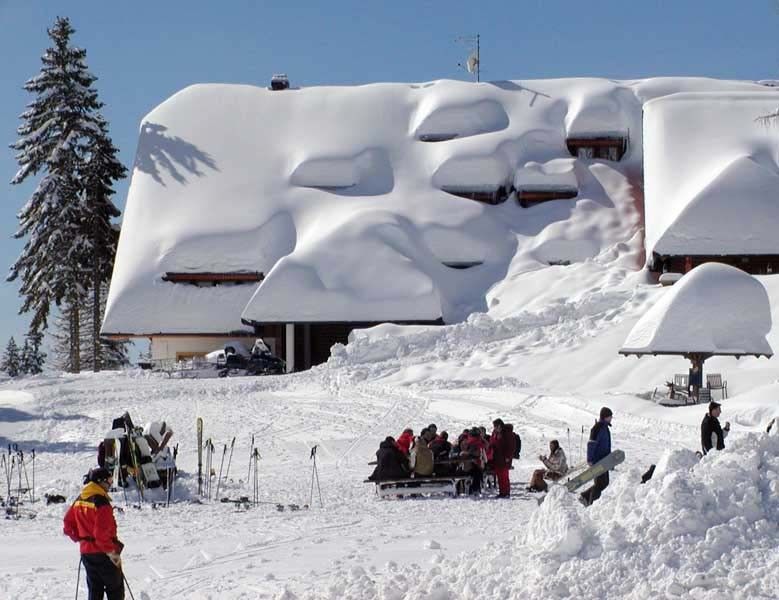 Hit the Slopes in Slovenia