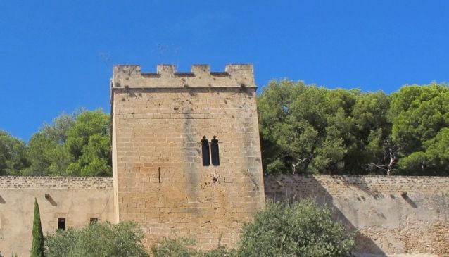 Who ruled Denia castle?