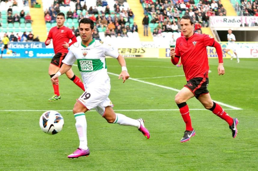 Elche in action