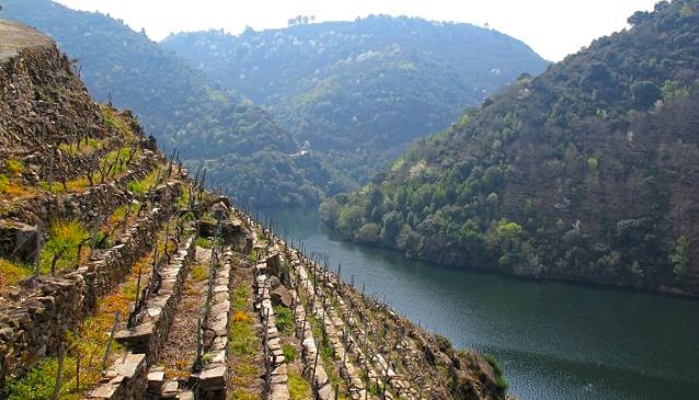 Ribeira Sacra in Galicia