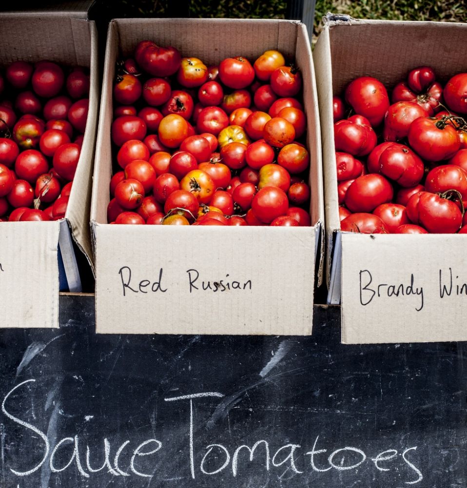 MELBOURNE TOMATO FESTIVAL