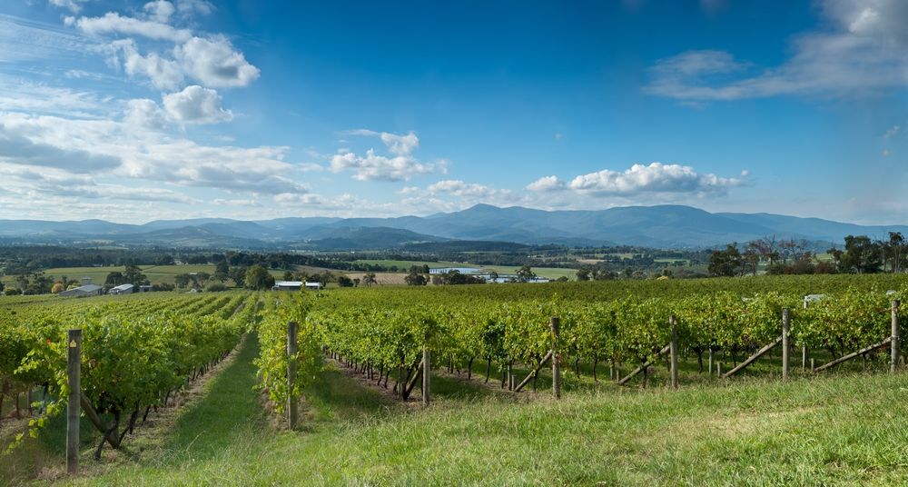 A Romantic Getaway in The Yarra Valley