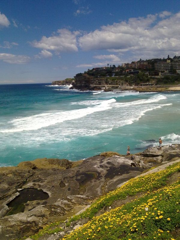 Sydney coast