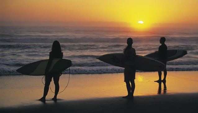 Surfing in Sydney