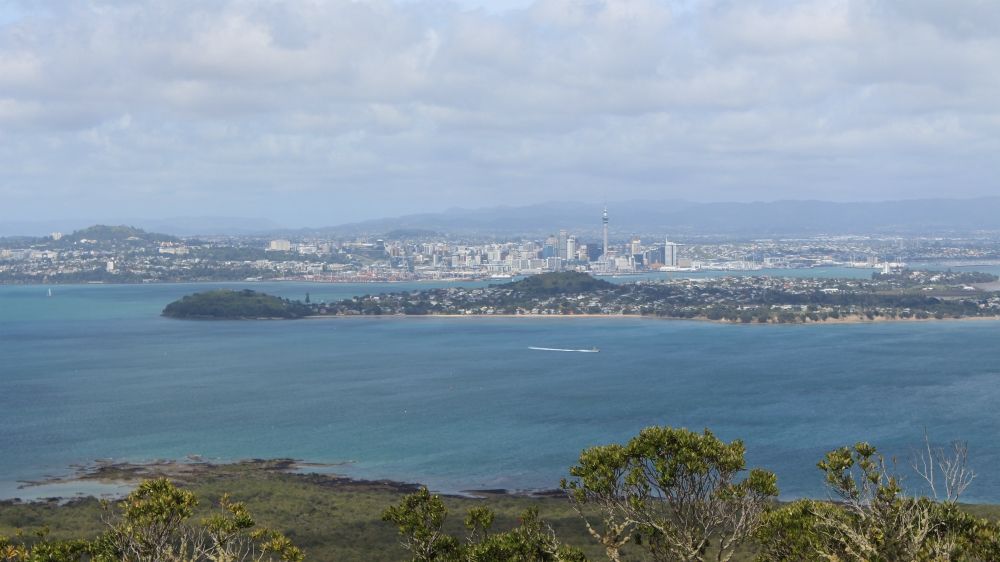 Visiting Rangitoto Island