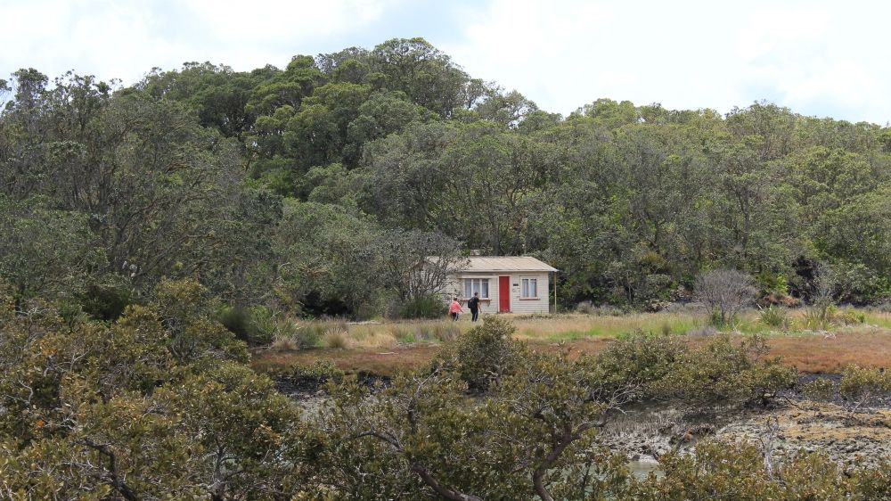 Visiting Rangitoto Island