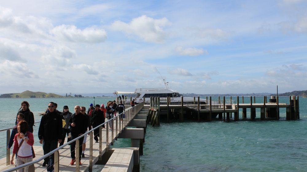 Visiting Rangitoto Island