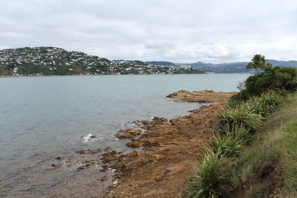 Shelly Bay, Wellington