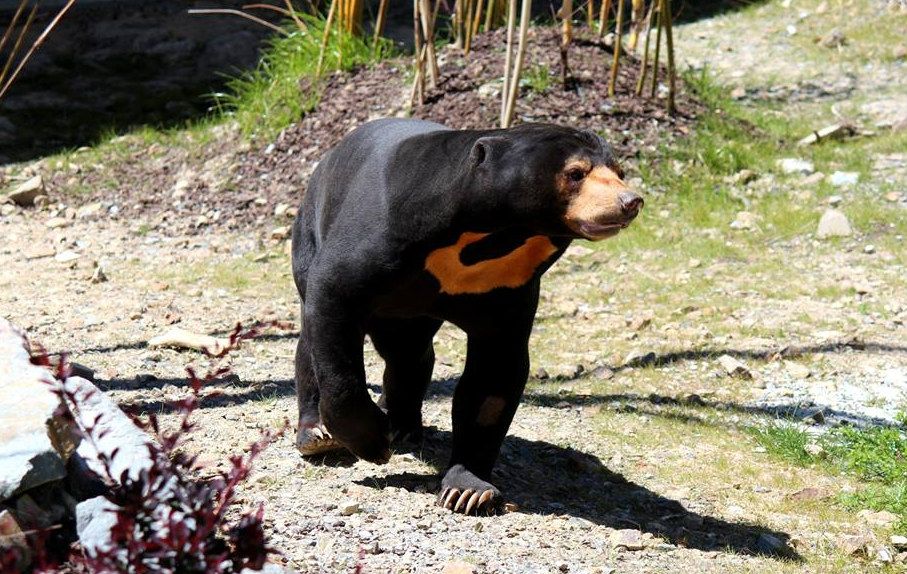 Exploring Wellington Zoo