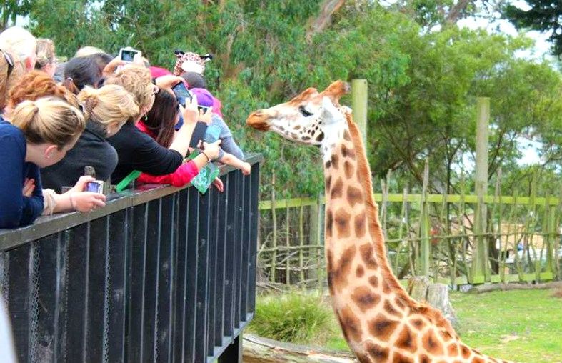 Exploring Wellington Zoo