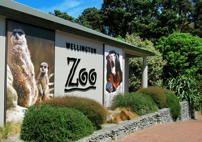 Exploring Wellington Zoo