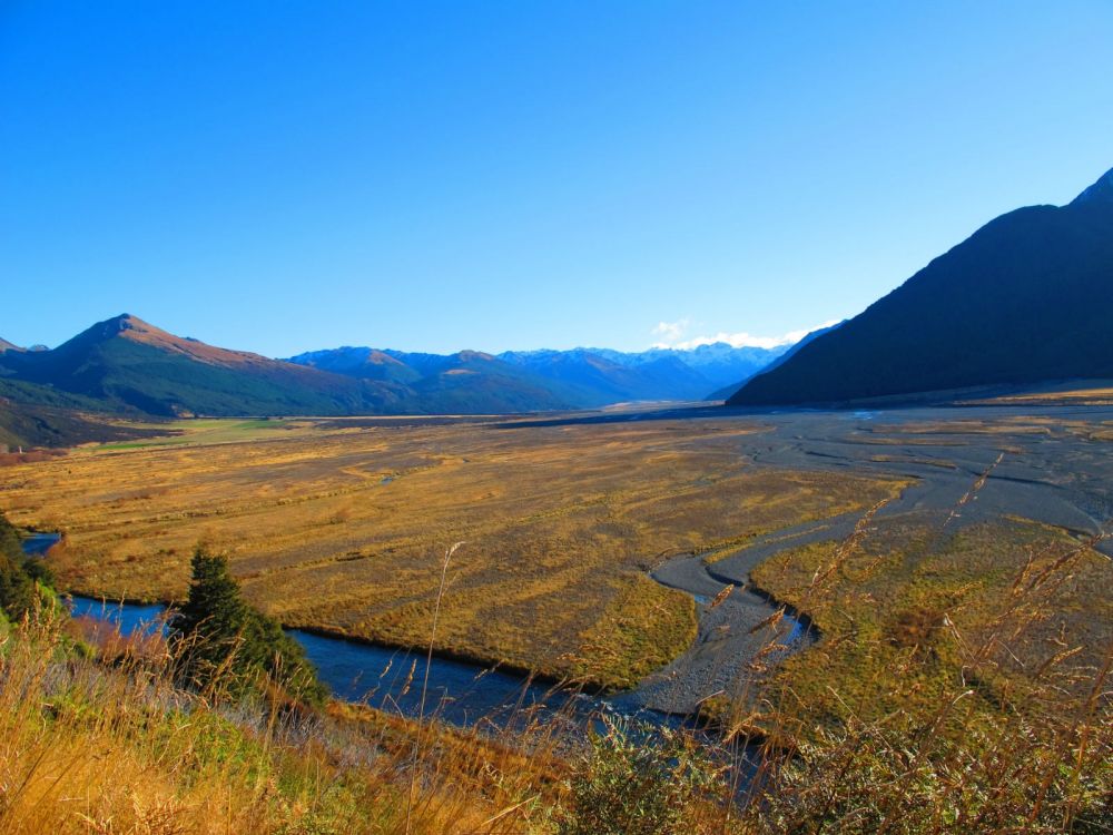 On Board The TranzAlpine Railway 