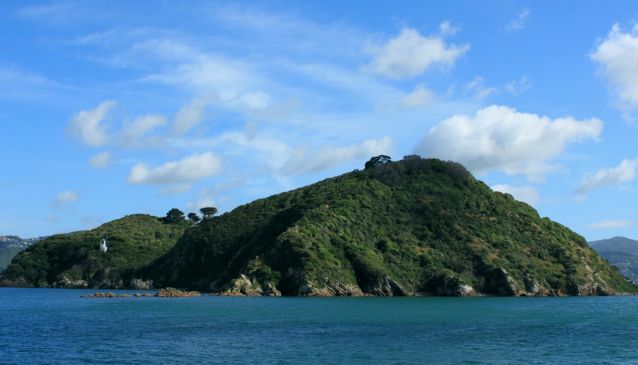 Matiu Somes Island