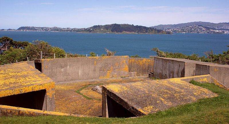 Matiu Somes Island