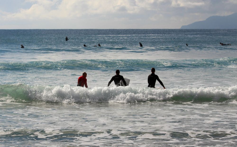 Tawharanui Regional Park