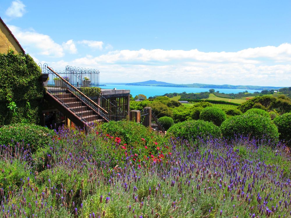 Take A Day Trip To Waiheke Island