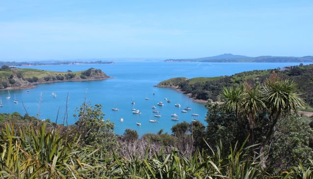 Take A Day Trip To Waiheke Island